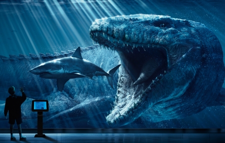 海角社区网站入口平台展示图2